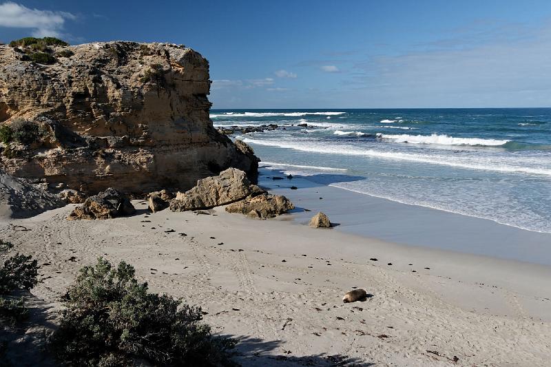 2007 05 08 Kangaroo Island 092-1_DXO.jpg